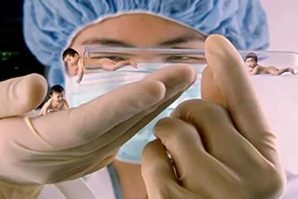 2023东营试管医院排名公布,附助孕费用及成功率一览