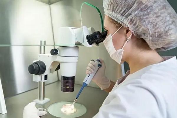 冻胚移植费用解析，地区不同收费标准有差异