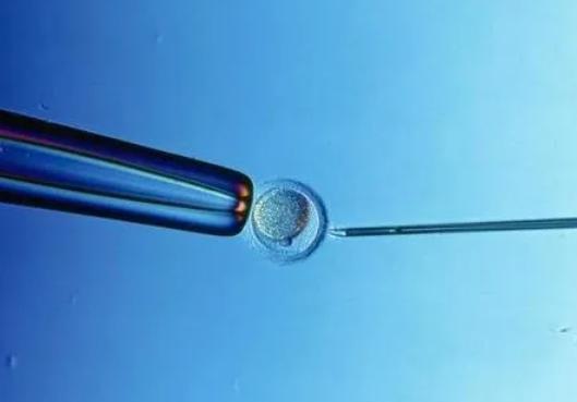 美国二胎试管婴儿技术成熟吗,美国试管婴儿成功率为什么高