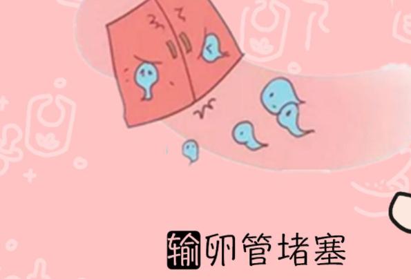 输卵管堵塞好几年了，手术治疗的成功率有多高？需要注意哪些事项？