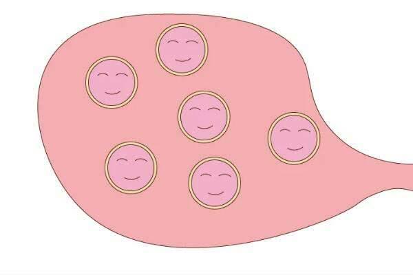 卵泡少可做试管吗？