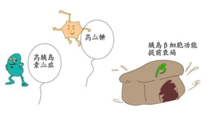 什么是胰岛素抵抗?胰岛素抵抗调理多久可以怀孕?