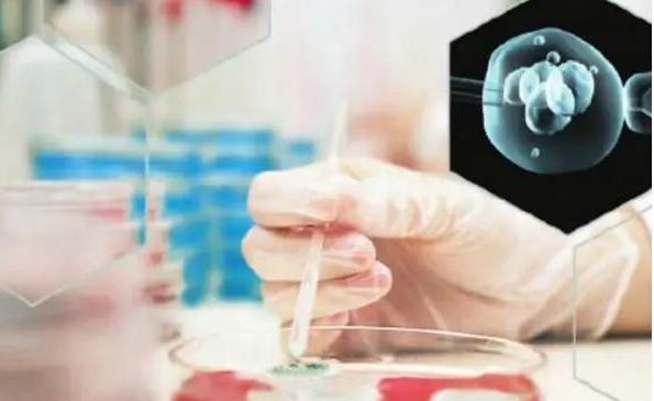 试管一代转二代成功率大幅提升，让更多家庭实现生育梦想