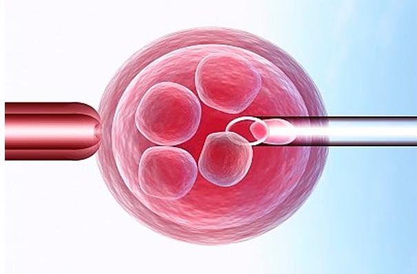 试管pgs国内能做吗？pgh技术试管婴儿？