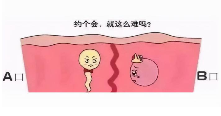 结扎12年了还会怀孕吗?结扎12年还想生孩子怎么办?