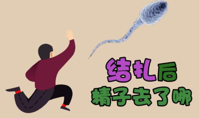 男性结扎还能排出三代试管生子吗?结扎不排精对身体有什么影响?