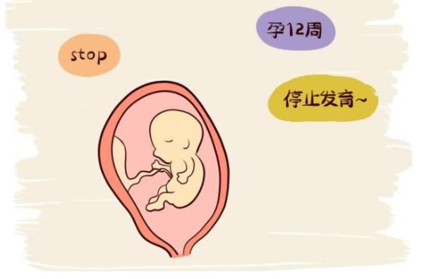 胚胎发育不好可以保胎吗?胚胎发育不好补救措施