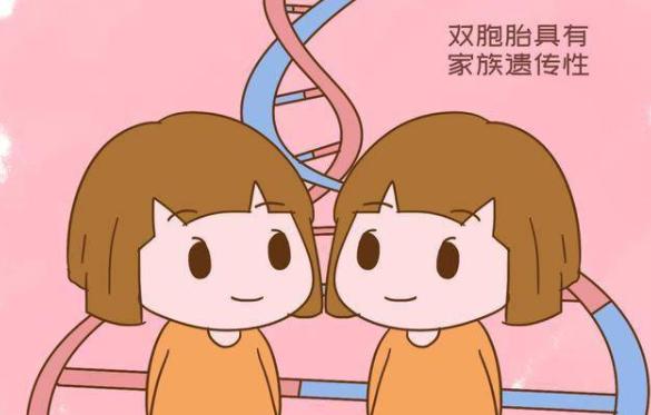 有没有怀双胞胎的药?怀双胞胎的方法有哪些?