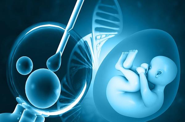 试管婴儿如何选择医生,选对了更能提升你的成功率