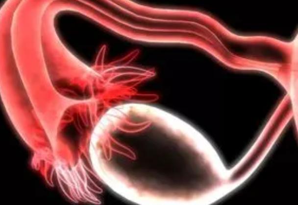 输卵管切除后还会来月经吗？月经会有什么变化？