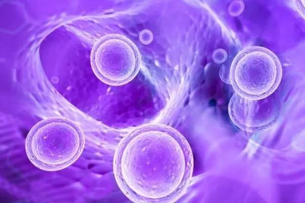 试管内膜与激素不同步，会影响人工授精的成功率吗？