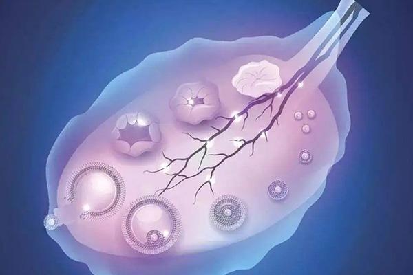 试管促排第20天后怎样进行操作？