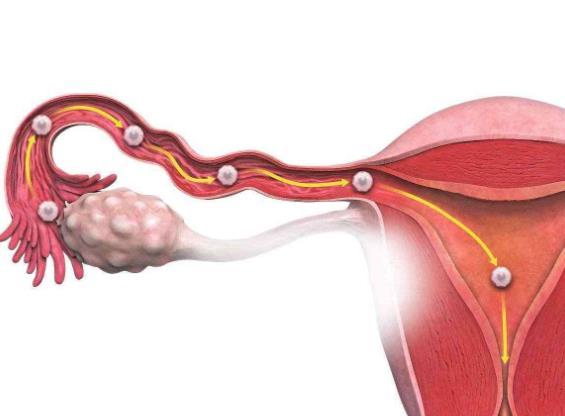 输卵管堵塞的治疗方法有哪些？看看这些你适合哪种