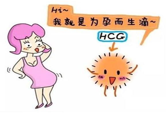 试管移植着床后hcg 移植第17天hcg正常值