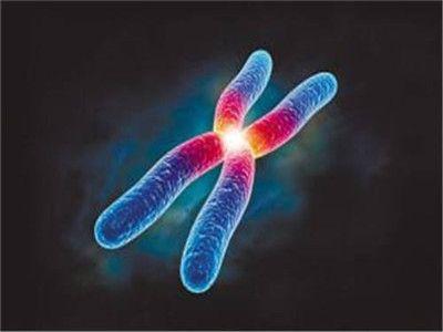 人流次数过多做试管会影响着床吗？答案可能和你想的不一样