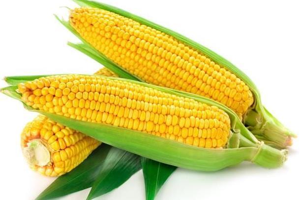 玉米是一种营养丰富的食物，能为孕妇带来这些益处