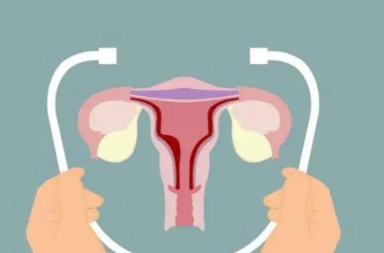 自己体内部的回声至关重要，意味着自己体内情况良好