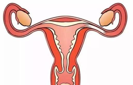 输卵管切除单侧或双侧区别甚大，关乎着是否能怀孕