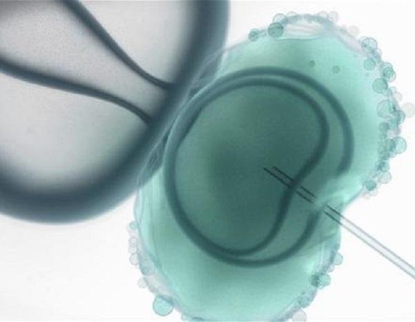 ​三代试管生孩子机构靠谱吗？这些机构你值得试一试