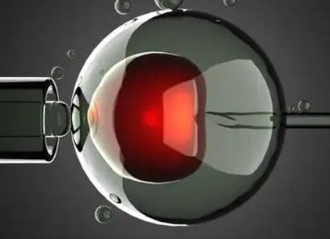 试管婴儿技术已成为主流的辅助生殖技术，关于它的历史你了解多少呢