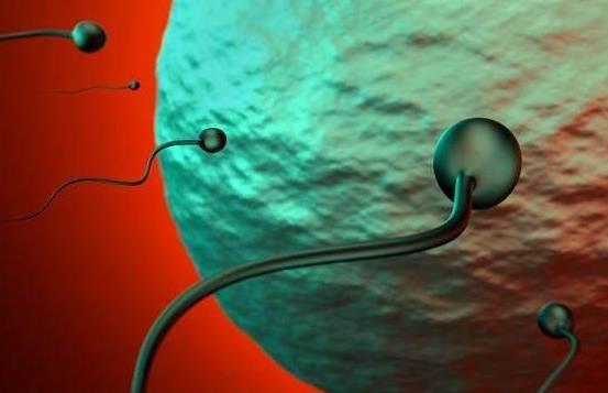 长沙三代试管会经历这几个步骤,附详细流程介绍