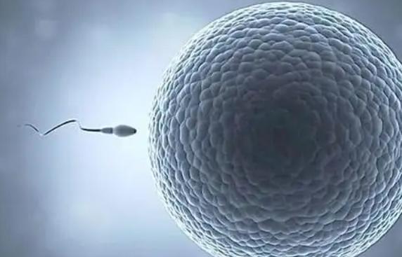 北京哪里检查精子成活率比较为准确，找正规专业的医疗机构即可