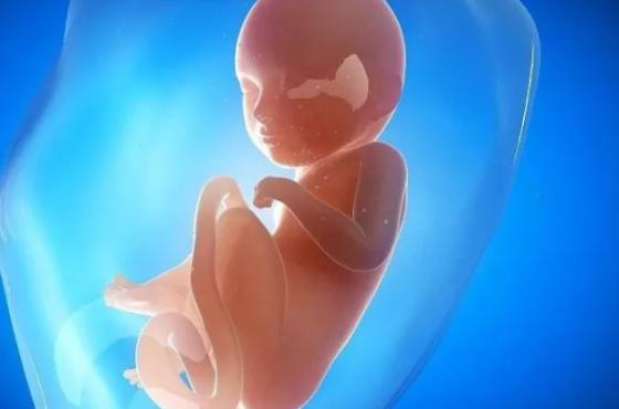 泰国试管婴儿技术发达，这几家医院都能给你好的治疗