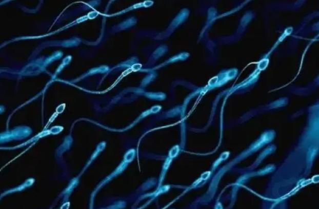 高畸形率三代试管生子症并不罕见，相关症状及治疗方法姚要知道