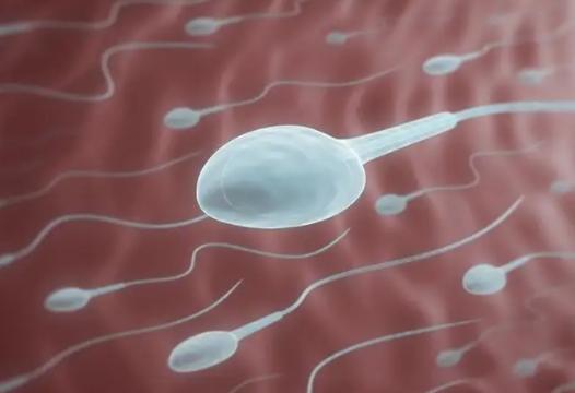 长沙三代试管需要多少钱,附各流程费用明细