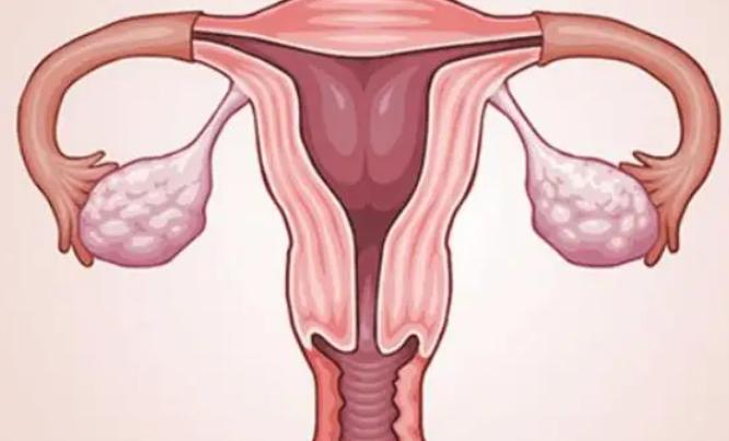 输卵管堵塞也有可能怀孕，但是并不常见