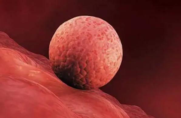 重庆私人试管医院给你新认知，一站式服务满足你