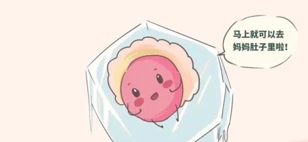 试管婴儿鲜胚好还是冻胚好？二者的优缺点解读