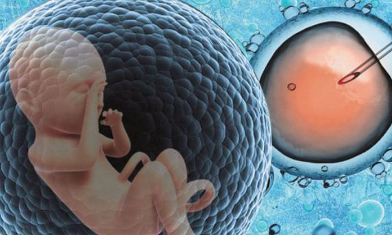 双角子宫做试管婴儿要多少钱？有必要调理身体吗？