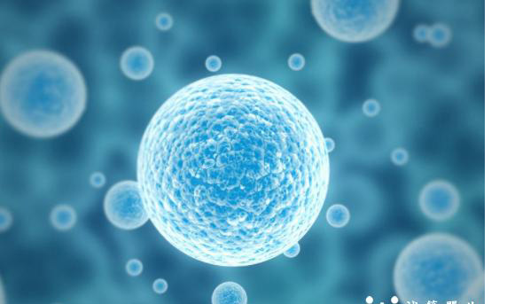 为什么有人后悔做试管？做试管有哪些优缺点？