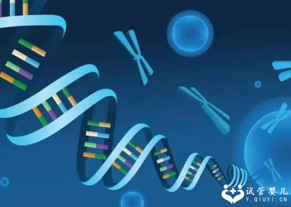 美国三代试管婴儿费用能达到多少？及成功率数据汇总