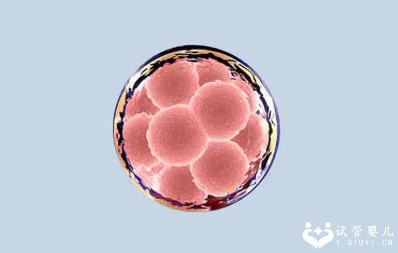 商丘三代试管能够解决什么遗传病?这几种常见的都能轻易筛除