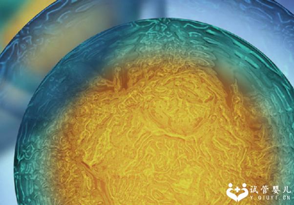 张家口第三代试管各阶段费用介绍,没你想的那么贵!