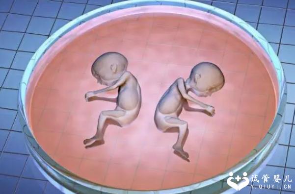 2024东莞三代试管移植成功率大约是多少?附试管成功率数据