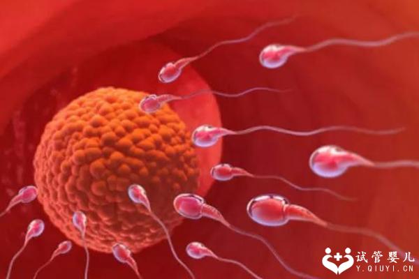 试管婴儿移植后不成功的原因有哪些？主要来自这两个方面