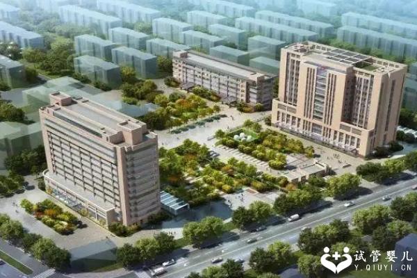 河北大学附院试管婴儿成功日记分享,费用成功率已经整理好了