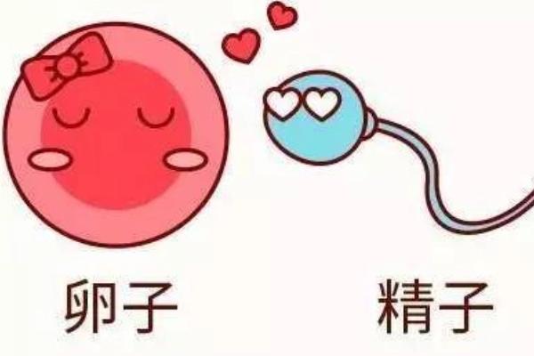 江苏省试管助孕医院三代试管婴儿多少钱？附单周期费用明细