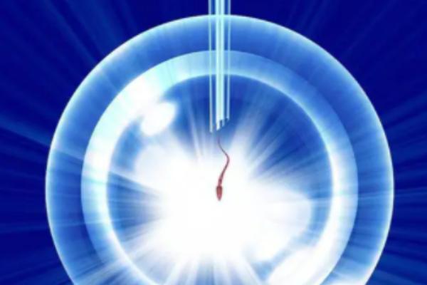 2023国内三代试管婴儿流程、成功率、以及费用一览