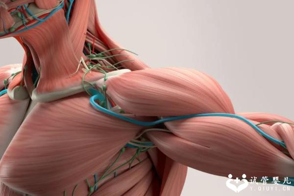 dmd携带者可以做三代试管婴儿吗？不仅可以成功案例还很多