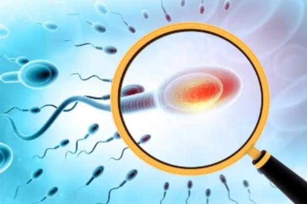 三代试管生下来的孩子健康吗?看科学依据如何证实