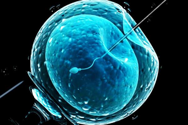 想去泰国BNH医院做试管，先看看医院概况