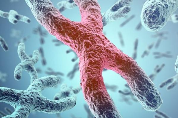 上海哪家三代试管医院更好？附试管医院排行榜