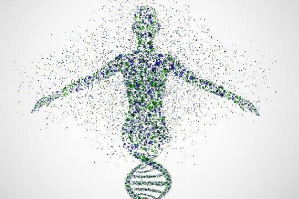 基因问题自怀会影响下一代？选择三代试管是比较好的避免方法