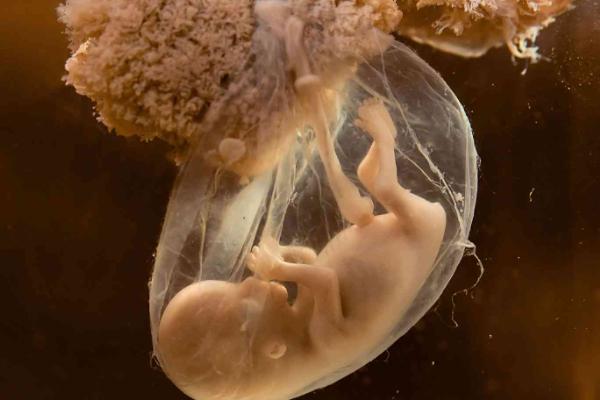 北京做三代试管私立医院有哪些？这几家值得信赖