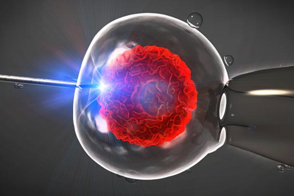 泰国做第三代试管生孩子流程一览，总共分为七个步骤