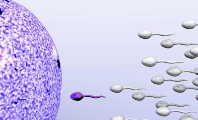 试管医院哪位专家做试管比较厉害？附试管医院成功率